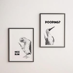 May include: Two framed art prints with black frames. One print features a bird illustration with the text "NICE BUM". The other print shows a bird illustration with the text "POOPING?" Both prints are in black and white.