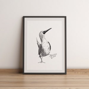 Dancing Blue-footed Booby Wall Art, digital download Black & White Animal Art Funny Bird Print Printable minimalist eyecatching Poster Decor