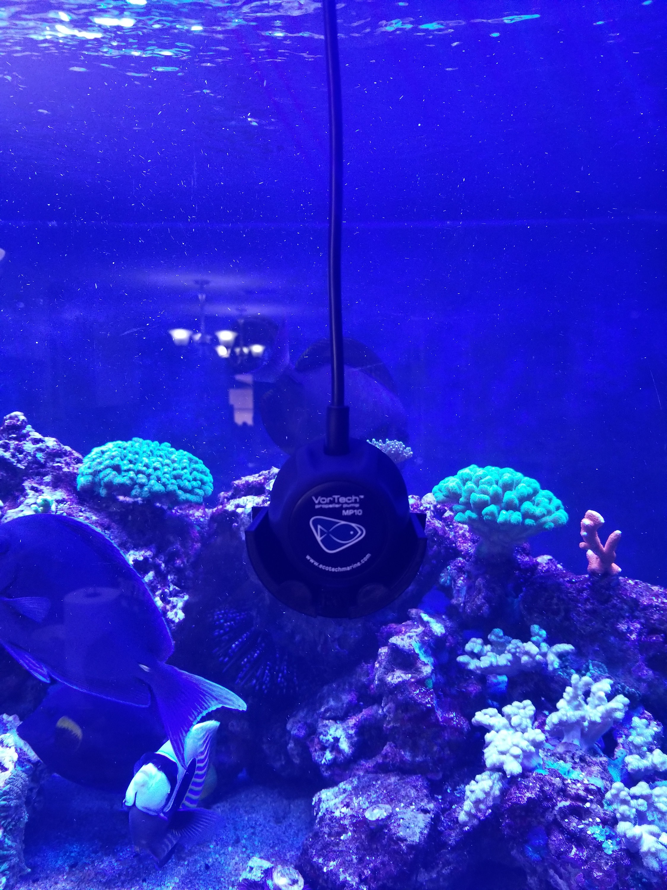 Ecotech Marine Vortech MP10 3D Printed Dry Side Support Mount - Etsy