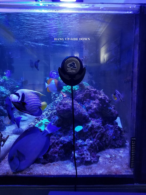 Ecotech Marine Vortech MP40 3D Printed Dry Side Support Mount - Etsy