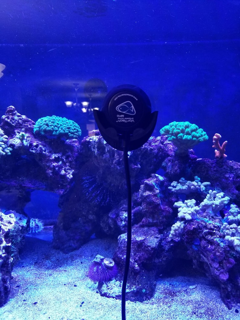 Ecotech Marine Vortech MP10 3D Printed Dry Side Support Mount - Etsy
