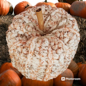 May include: A white and orange crocheted pumpkin with a cinnamon stick stem. The pumpkin is surrounded by real pumpkins.