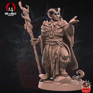 Tiefling Druid Miniature Dungeons and Dragons Mini Hero Quest RPG Board Game Great DnD Gift Dungeon Master Critical Role 5e