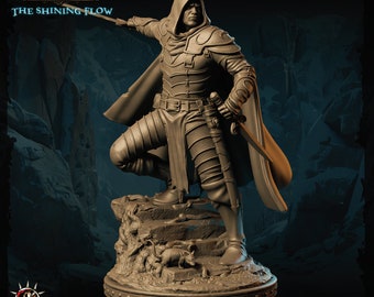 Human Assasin Rogue Miniature, Dungeons and Dragons Mini, Hero Dungeon Quest, RPG Board Game, Great DnD Gift, Dungeon Master, Critical Role