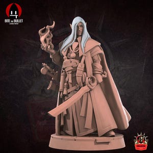 May include: A detailed figurine of a fantasy character with long, light blue hair and pointed ears. The figure wears a long coat, armour, and carries a sword and a flaming skull. The base is square, and the overall colour is a muted brown.