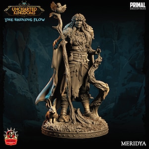 Female Druid Miniature Dungeons and Dragons Mini, Hero Dungeon Quest RPG Board Game, Great DnD Gift, Dungeon Master, 5e