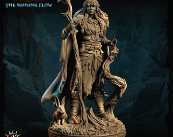 Weibliche Druid Miniature Dungeons and Dragons Mini, Hero DungeonQuest RPG Brettspiel, Großartiges DnD Geschenk, Dungeon Master, 5e
