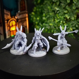 Rabbit Monk, Rabbit Warrior, Rabbitfolk Frost Wizard DnD Miniature Dungeons and Dragons Mini Hero Quest RPG Board Game DnD Gift 5e