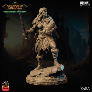 Female Barbarian Warrior, Fighter Miniature Dungeons and Dragons Mini, Hero Dungeon Quest RPG Board Game, Great DnD Gift, 5e Dungeon Master