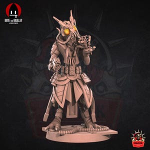 May include: A detailed 3D printed miniature of a humanoid figure with a bug-like head, wearing a long robe and holding a gun. The figure has a textured surface and is painted in a light gray color.