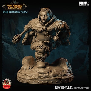 Halfling Rogue Assassin Miniature Dungeons and Dragons Mini, Hero Dungeon Quest RPG Board Game, Great DnD Gift, 5e Dungeon Master