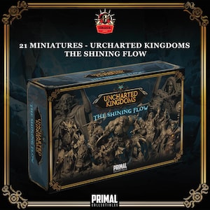 Uncharted Kingdoms Shining Flow 21 pc Bundle DnD Miniature Dungeons and Dragons Mini Hero Quest RPG Board Game DnD Gift Dungeon Master 5e