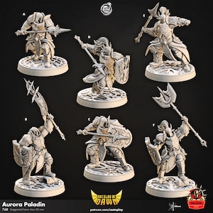 Warrior Paladin, Knight, Fighter Miniature Dungeons and Dragons Mini, Hero Dungeon Quest RPG Board Game, Great DnD Gift, 5e Dungeon Master