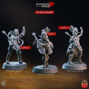 Female Human Bard Fighter Miniature Dungeons and Dragons Mini Hero Dungeon Quest RPG Board Game DnD Gift Dungeon Master 5e