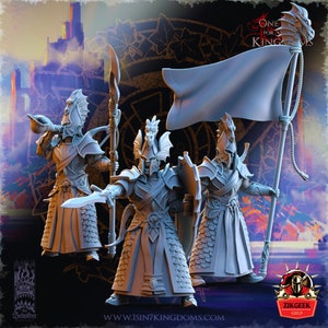 Elven Warrior Knight Fighter Bundle Wargaming Miniature Dungeons and Dragons Mini Hero Quest RPG Board Game DnD Gift Dungeon Master 5e