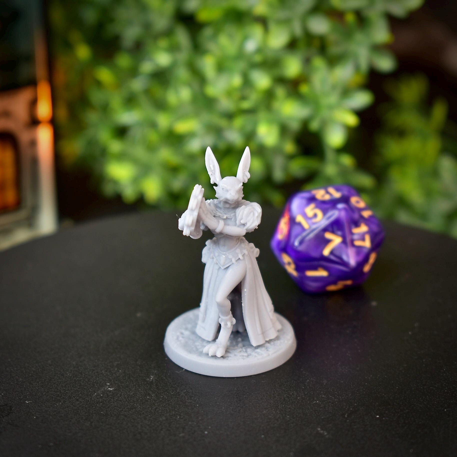 Rabbit Bard, Rabbit Fighter, Rabbitfolk DnD Miniature Dungeons and Dragons Mini Hero Quest RPG Board Game DnD Gift Dungeon Master 5e