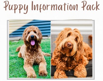 Puppy Information Pack For Beginners