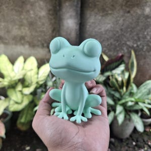 Può includere: Statuetta a forma di rana verde chiaro con grandi occhi rotondi e un'espressione sorridente. La rana è seduta con le zampe divaricate. La statuetta è tenuta in mano, con piante sullo sfondo.