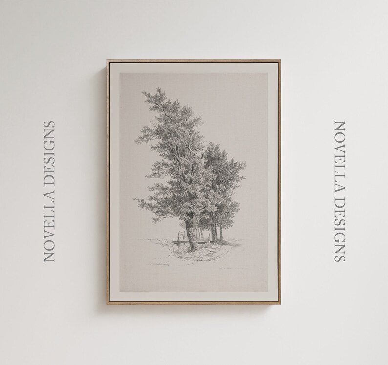 Antique Italian Tree Drawing Print Vintage Sketch Studies Landscape ...