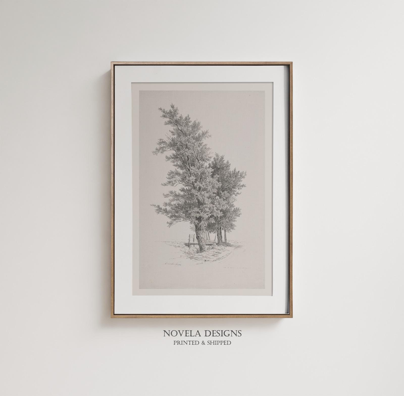 Italian Tree Graphics Antique Italian Tree Drawing Print Vintage Sketch Studies Landscape ...