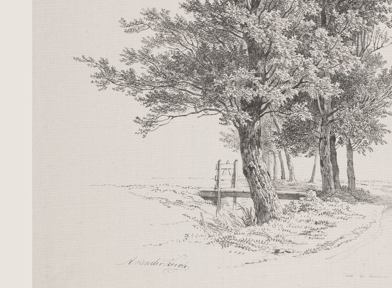Antique Italian Tree Drawing Print Vintage Sketch Studies Landscape ...