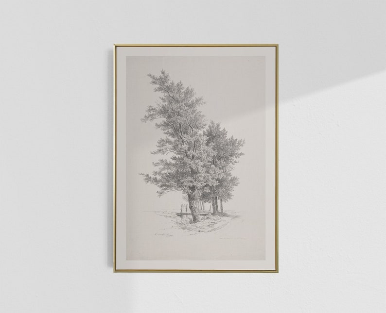 Antique Italian Tree Drawing Print Vintage Sketch Studies Landscape ...
