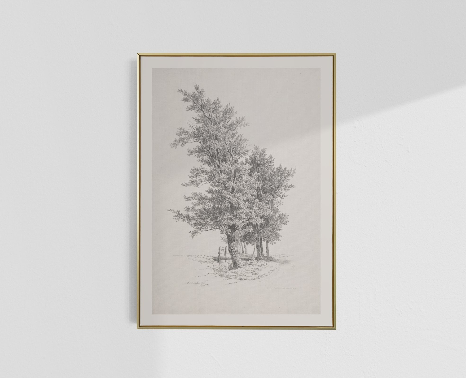 Antique Italian Tree Drawing Print Vintage Sketch Studies Landscape ...