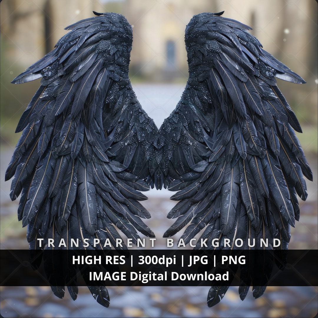 Black Raven Angel Wings: Divine Feminine Art (PNG JPG Digital Image) - Etsy