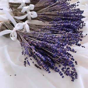 Dried English Lavender Bouquet: Aromatherapy, Wedding Decor