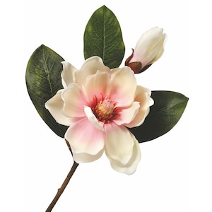 14” Magnolia flower stem, Pink magnolia, Like real magnolia flower