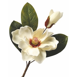 14” Magnolia flower stem, White magnolia, Like real magnolia flower
