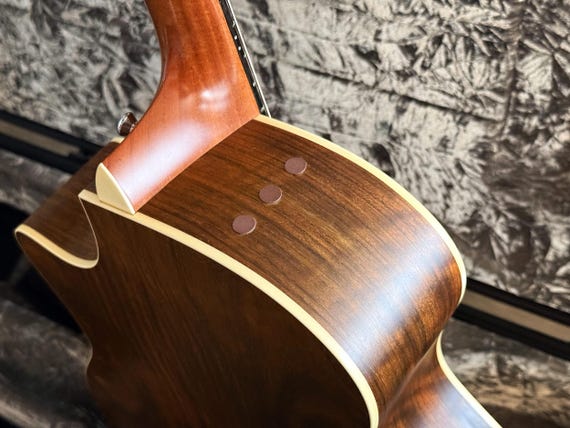 Taylor Expression System (ES / ES2) Hole Plugs