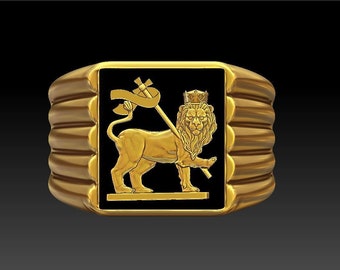 Lion Flag Ring, Handgemaakte Leeuw van Juda Soild 925 Sterling Silver Signet Ring, Tiger ring, Ridder Zilveren Ring, Bob Marley Style Ring, Cadeau voor hem