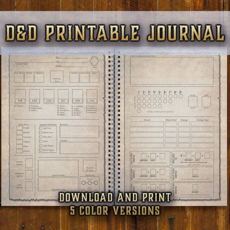 Dnd Character Journal - Etsy