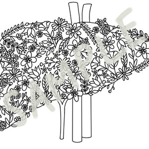 May include: A black and white line drawing of a human liver, filled with intricate floral designs. The liver is depicted with its main blood vessels.