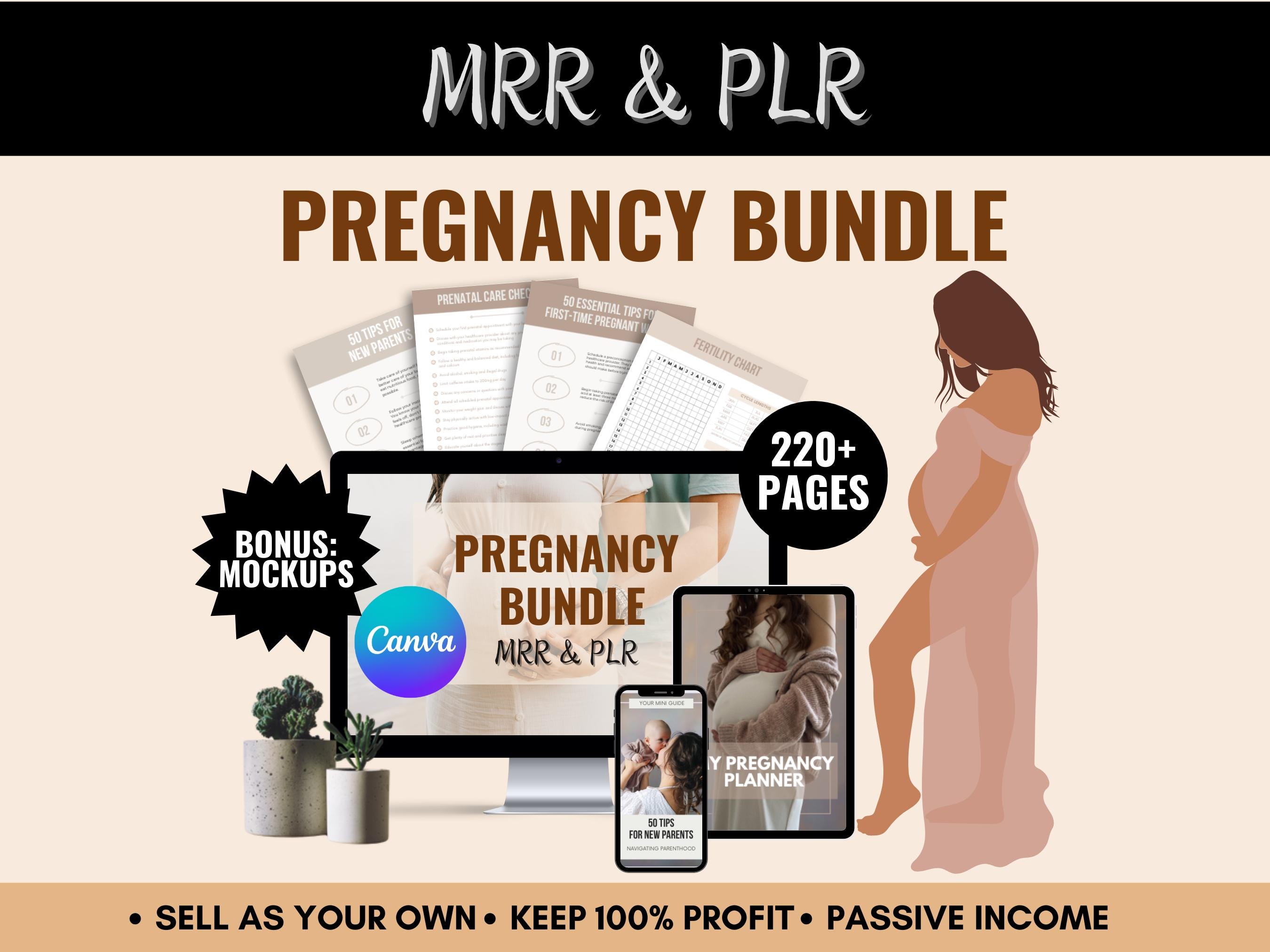 MRR Pregnancy Canva Templates Bundle With Master Resell Rights, Editable Pregnancy Bundle, Pregancy Checklists, Planner, Guides, PLR Product