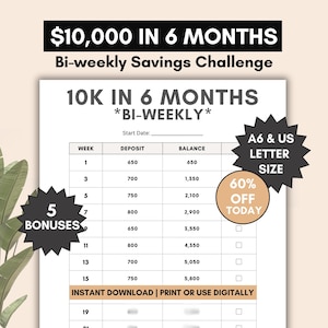 10k zweiwöchentliche Spar-Challenge, sparen Sie 10000 in 6 Monaten zweiwöchentlich Arbeitsblatt, Geldspar-Tracker, drucken oder digital verwenden, pdf-Download