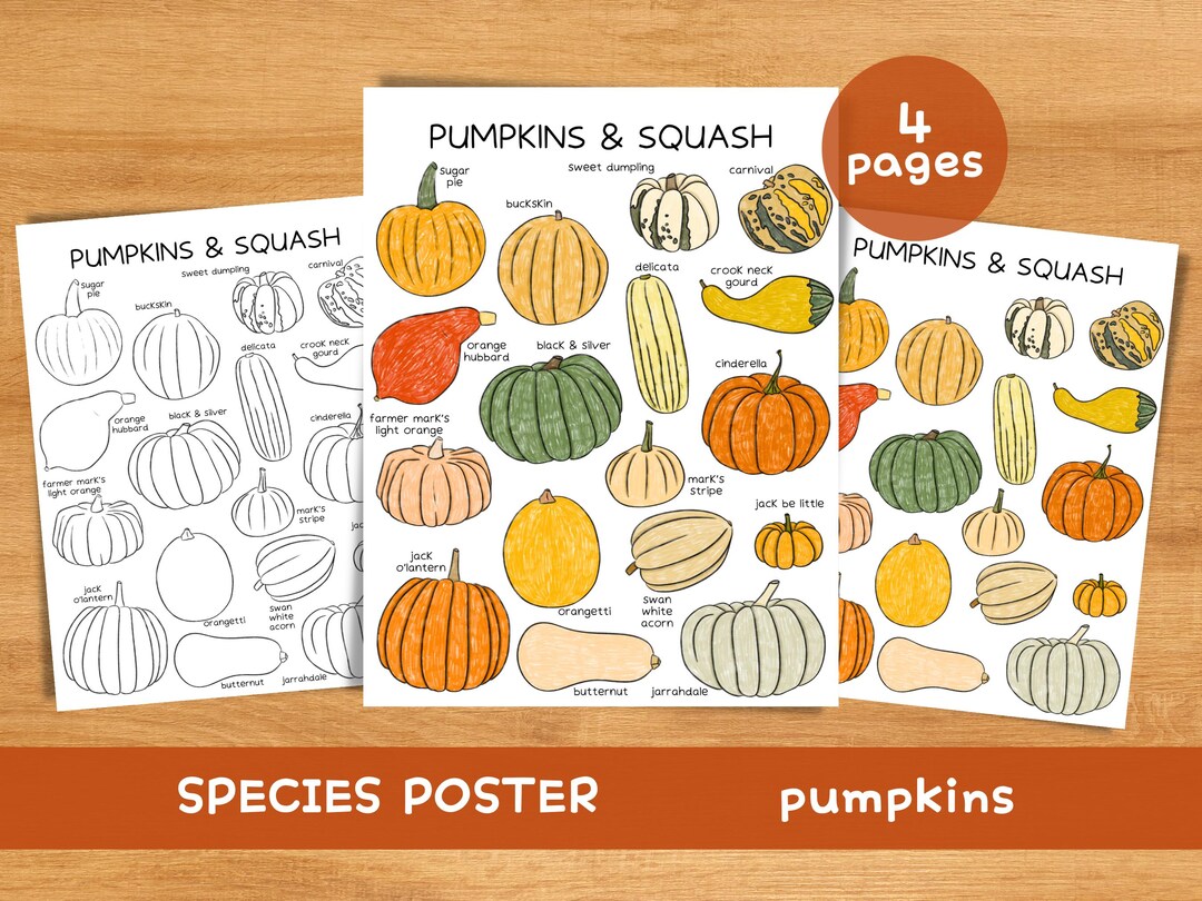 Pumpkins Poster Homeschool Resources Nature School Pumpkin Types ...