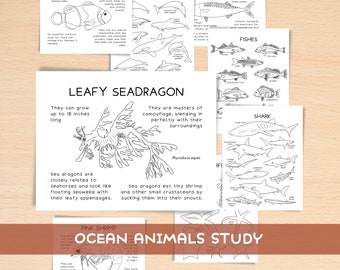 Ocean Animals and Sea Creatures Unit Study Coloring Book | Beach Unit Homeschool Resources Nature Charlotte Mason Study Unit | Summer Study