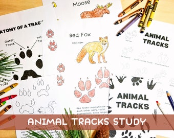 Kleurboek Animal Tracks Unit Study | Woodland Prints Homeschool Resources Nature Journal Charlotte Mason Study Unit | Eenheidsstudie winter