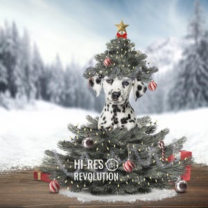 Christmas Tree Background-Digital Holiday Backdrop-Photoshop Downloadable Photography Backdrop-Digital Customizable Pet Portrait