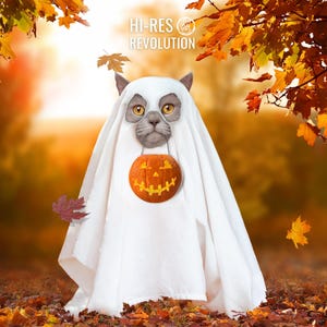 Ghostly Photoshop Background Digital Halloween Backdrop Photoshop Downloadable Artful Photography Backdrop Digital Customizable Pet Portrait