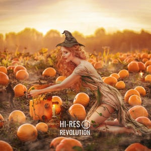 May include: A woman wearing a witch's hat and a long flowing dress is in a field of pumpkins. She is holding a pumpkin in her hand and there is a black cat in the foreground. The text "HI-RES REVOLUTION" is at the bottom of the image.