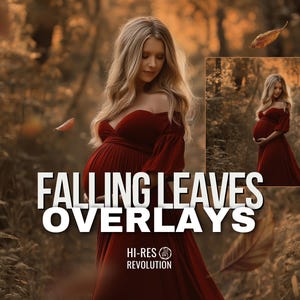 Autumn Falling Leaves Overlay, Transparent Leaf PNG Photoshop Digital Photo prop Rustic Photography Photo Editing Composition Overlays