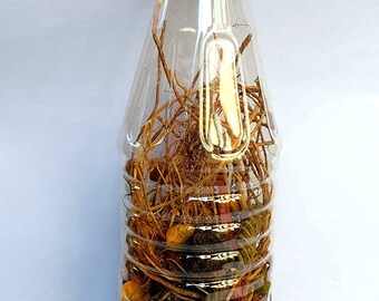 Natural Jadibuti Mix For Hair Oil | Make Your Own Hair Oil DRY Jadi Buti Mix (21+ Ayurvedic Herbs, 100% Herbal & Plant derived