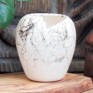 May include: A cream-colored ceramic vase with a unique, organic design. The vase features a rounded shape with a cut-out opening and is adorned with intricate black vein-like patterns. The vase sits on a wooden surface.