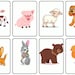 Printable Baby Animal Flashcards for Kids - Etsy