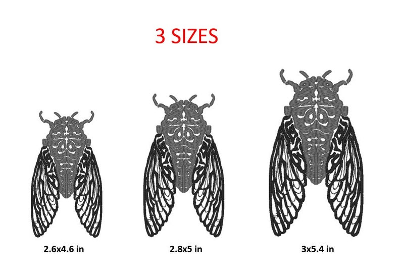 Cicada Machine Embroidery Design: Insect Pattern (digital File) - Etsy ...