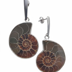 May include: A pair of drop earrings featuring polished ammonite fossil slices with brown and tan spiral patterns. Each fossil is encased in a smooth silver-toned metal frame and attached to a vertical silver-toned post with a butterfly back closure.