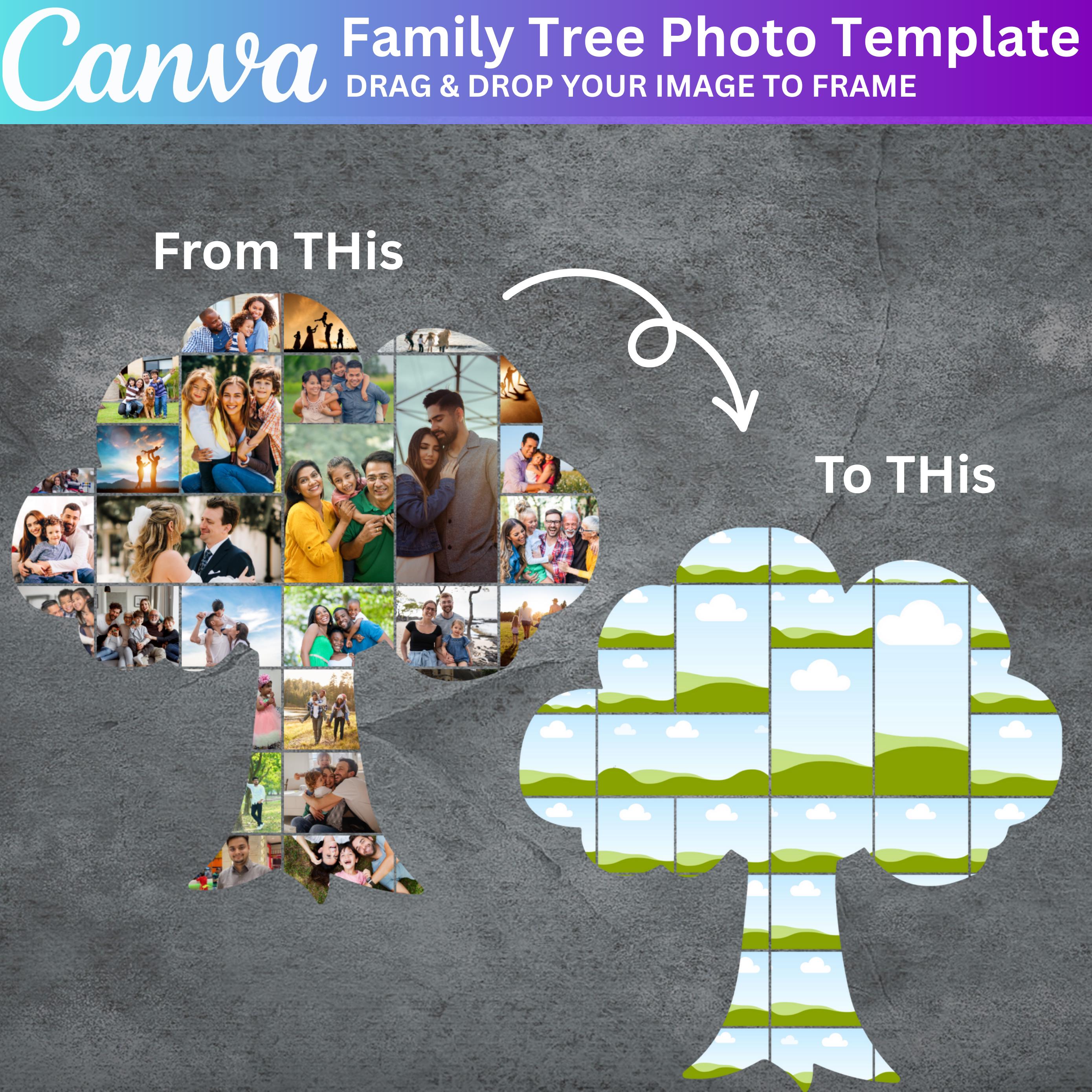 Family Tree Photo Collage Frame Bundle, Canva Editable Family Reunion ...